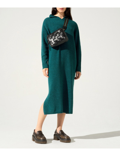 Robe baies de viburnum