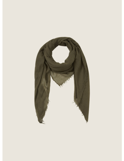 Cheich terre d olive