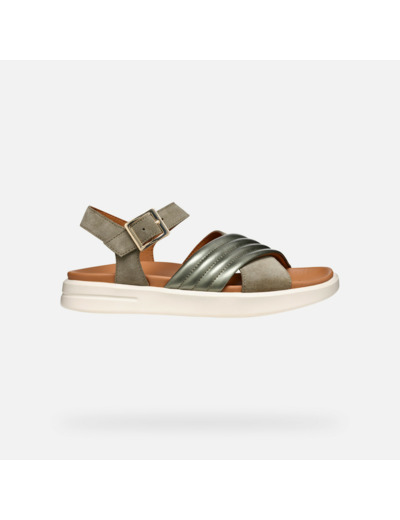 D XAND 2S