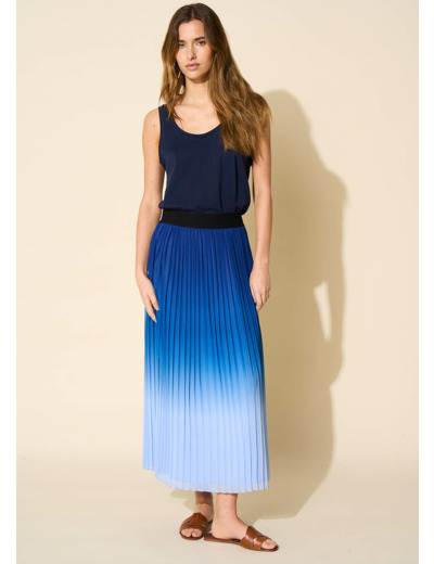 Jupe longue plissée dégradée