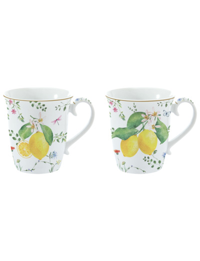 FLEURS ET CITRONS Coffret 2 mugs
