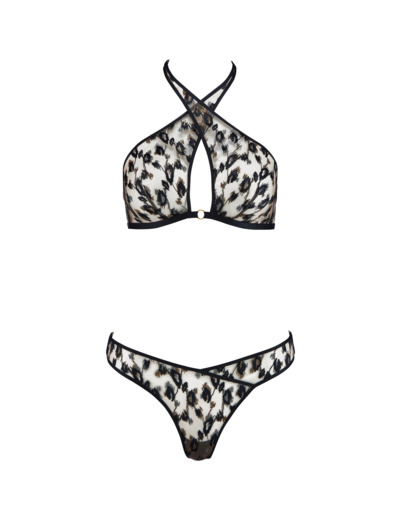 Ensemble Absolutely Wild