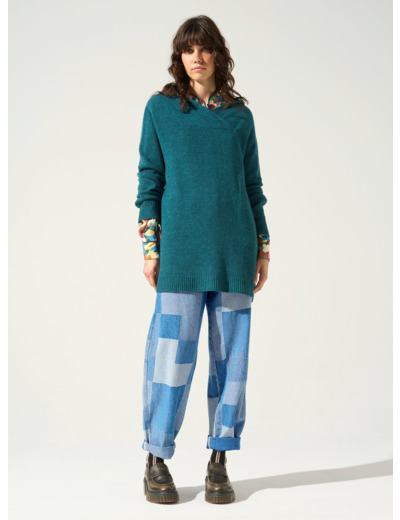 Pull baies de viburnum