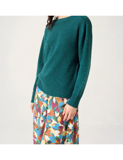 Pull baies de viburnum