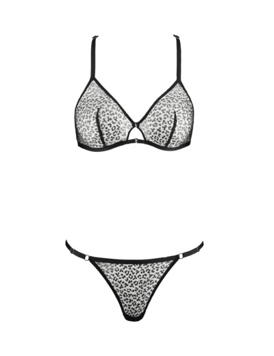 Ensemble Boîte à Désir
