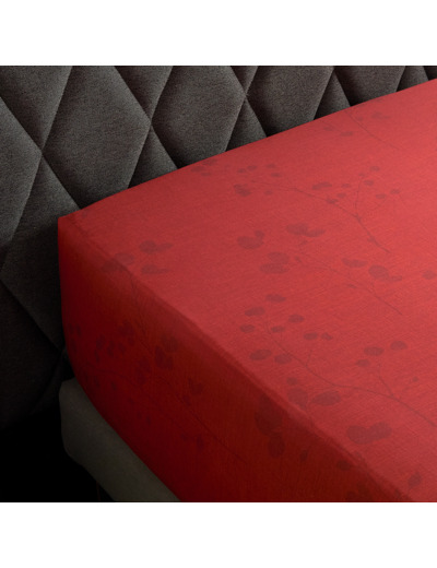 DRAP HOUSSE | Minimaliste